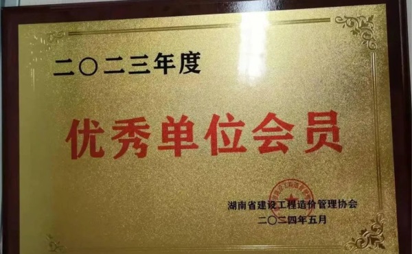 长沙工程建设项目管理有限责任公司,湖南中新工程,长建监理,工程监理服务,招标代理服务,造价咨询服务